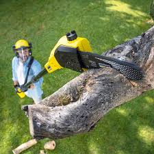 Best Artificial Turf Installation  in Yarrow Point, WA