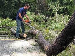 Best Storm Damage Tree Cleanup  in Yarrow Point, WA
