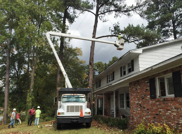 Best Tree Risk Assessment  in Yarrow Point, WA